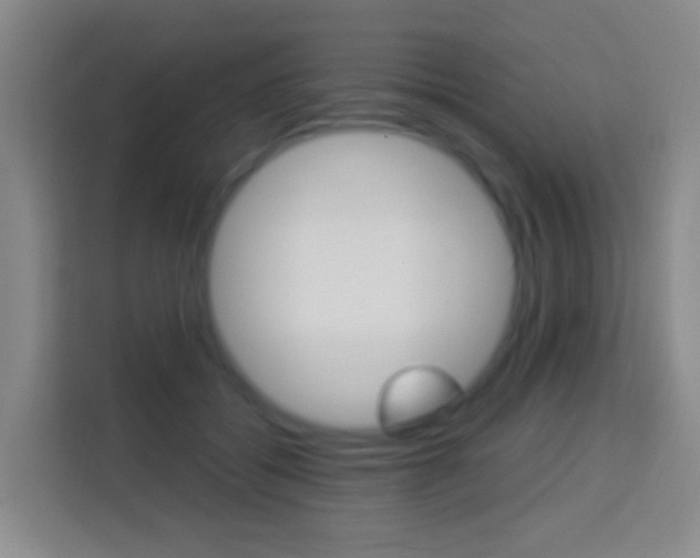 X0000114120556200910051301