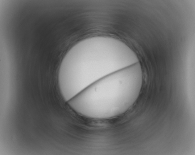X0000114120559200910051301