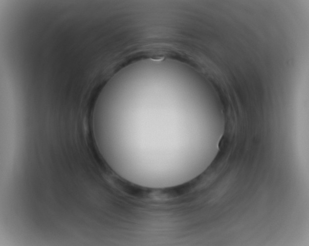 X0000114120562200910051301