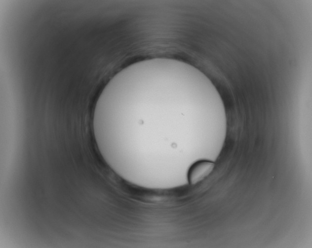 X0000114120563200910051301
