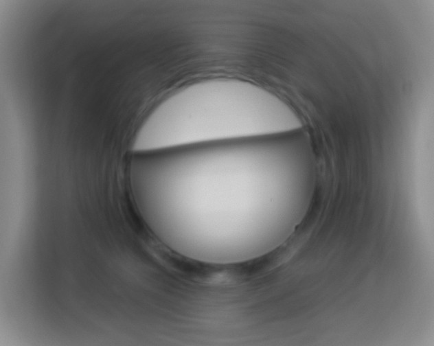 X0000114120564200910051301