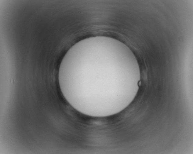 X0000114120567200910051301