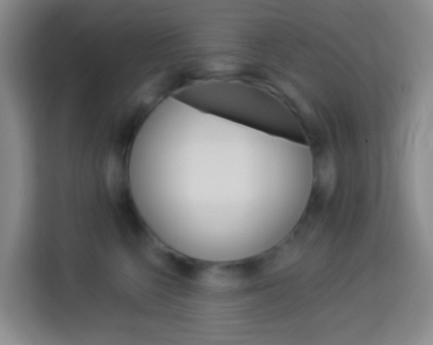 X0000114120568200910051302