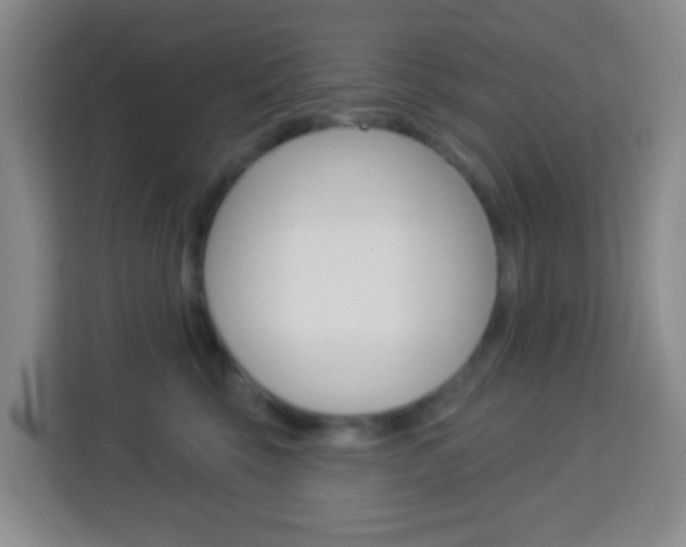 X0000114120569200910051302