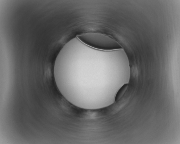 X0000114120570200910051302