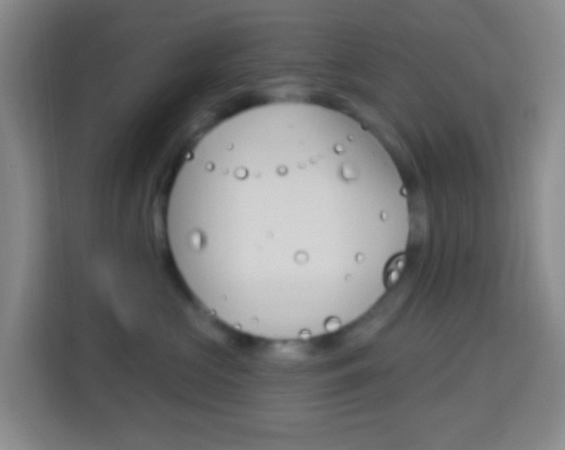 X0000114120573200910051302