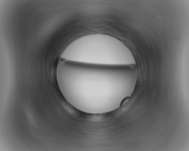 X0000114120574200910051302