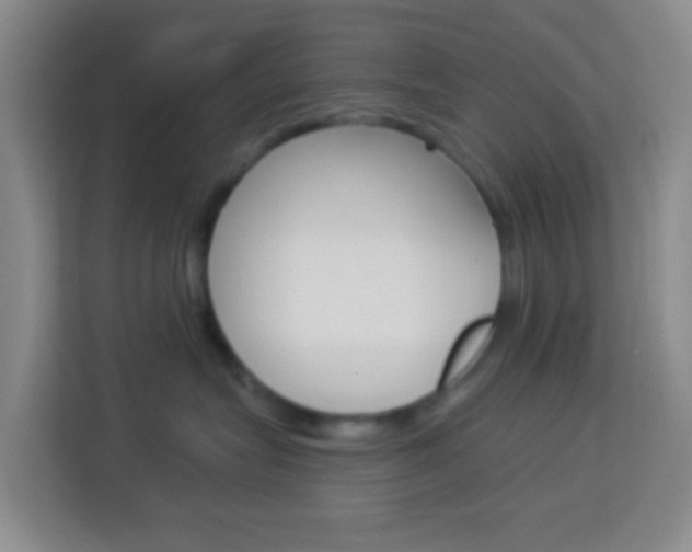 X0000114120575200910051302