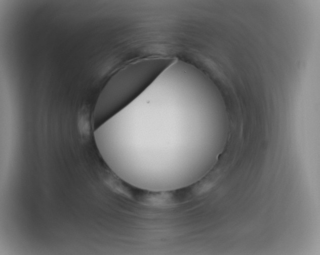 X0000114120576200910051302