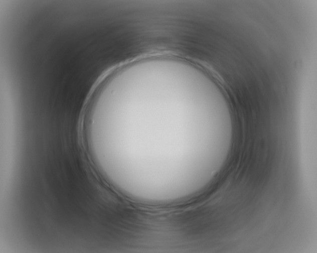 X0000114120579200910051301