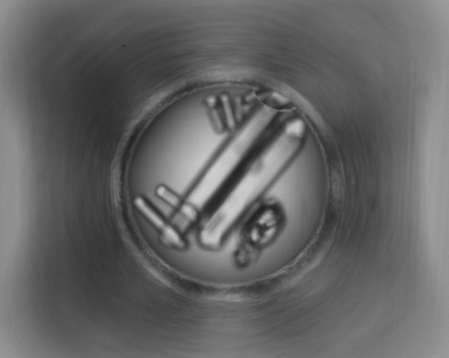 X0000114120581200910051301