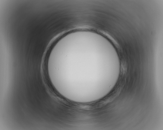 X0000114120583200910051301