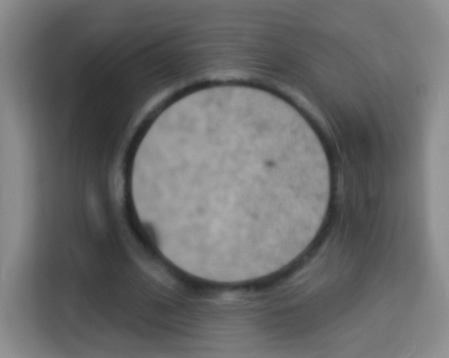 X0000114120584200910051301