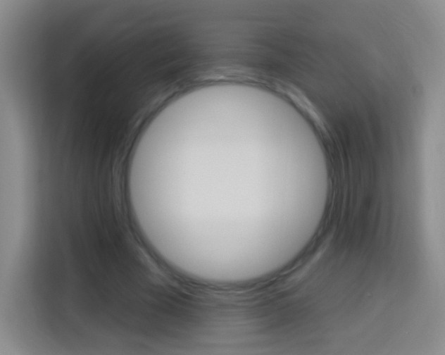 X0000114120585200910051301