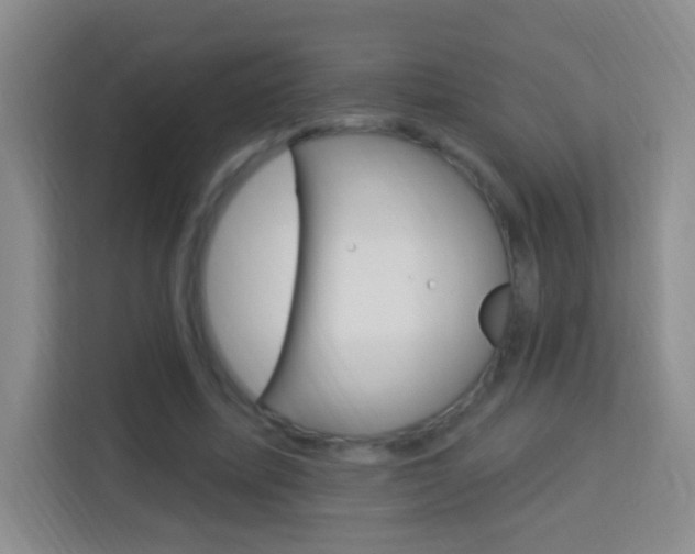 X0000114120587200910051301