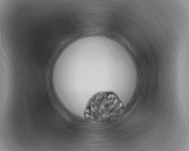 X0000114120589200910051301