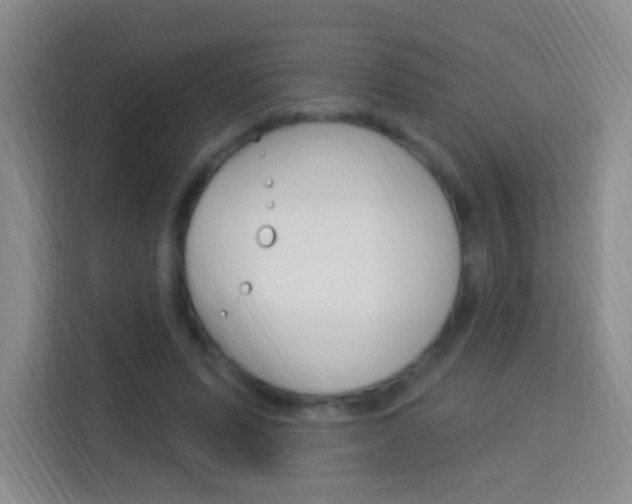 X0000114120591200910051301