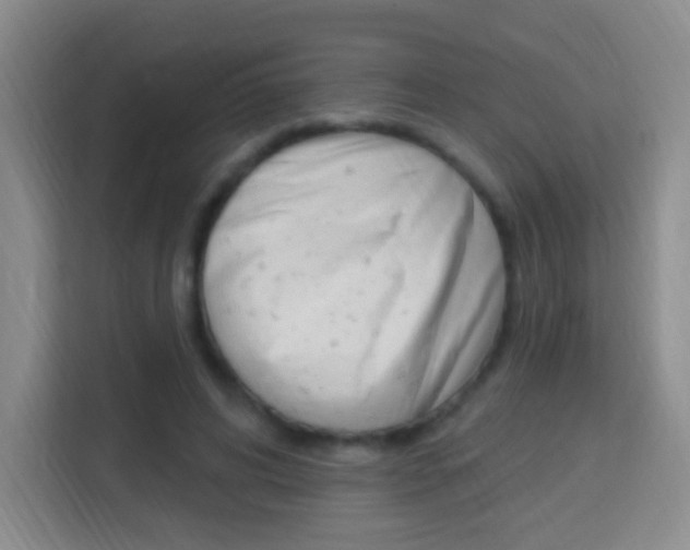X0000114120592200910051301
