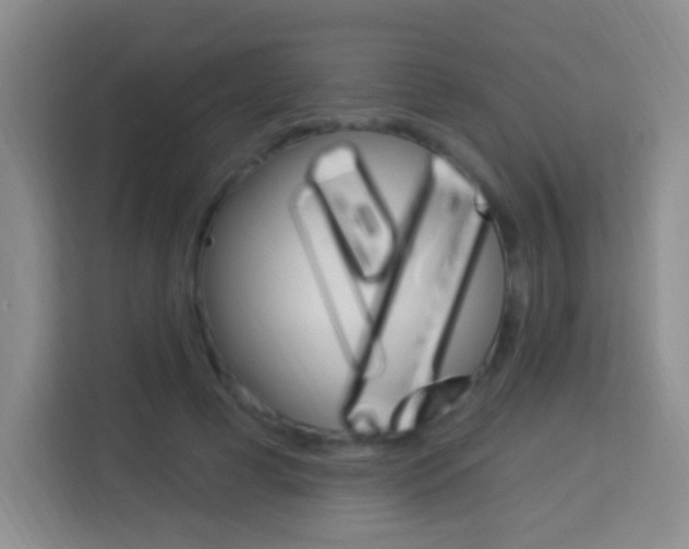 X0000114120593200910051301
