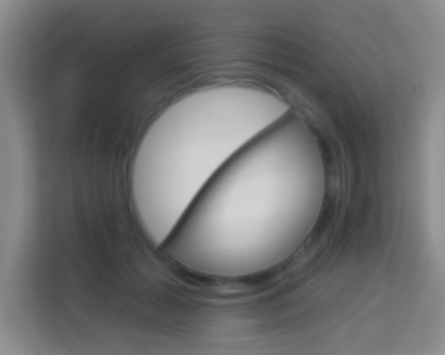 X0000114120605200910051301
