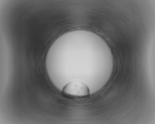 X0000114120613200910051301