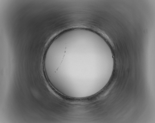 X0000114120625200910051300