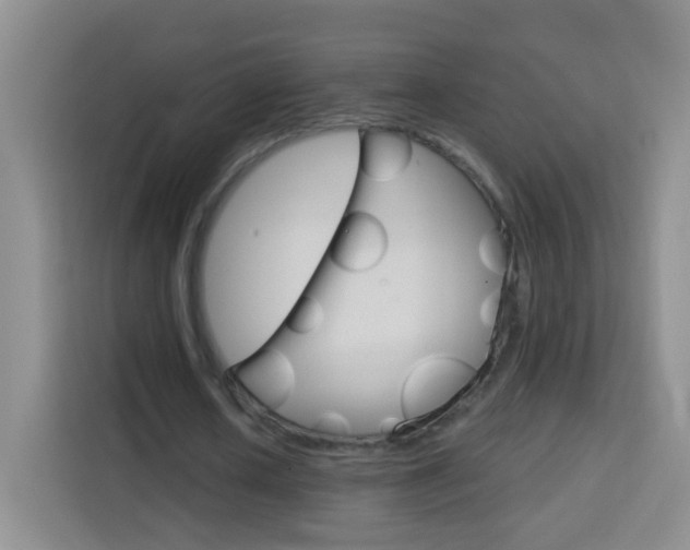 X0000114120626200910051300