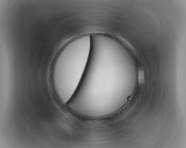 X0000114120627200910051300