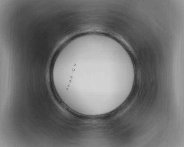 X0000114120629200910051300