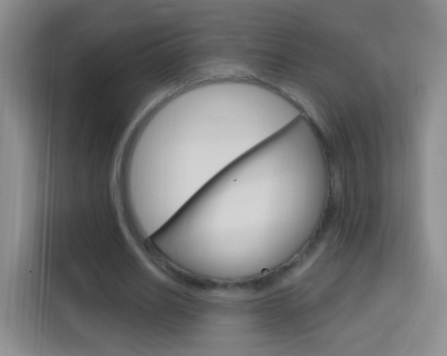 X0000114120630200910051300