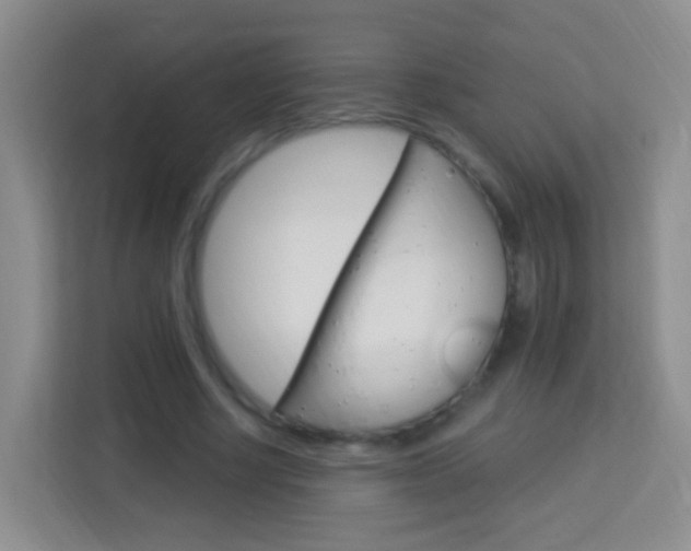 X0000114120634200910051300
