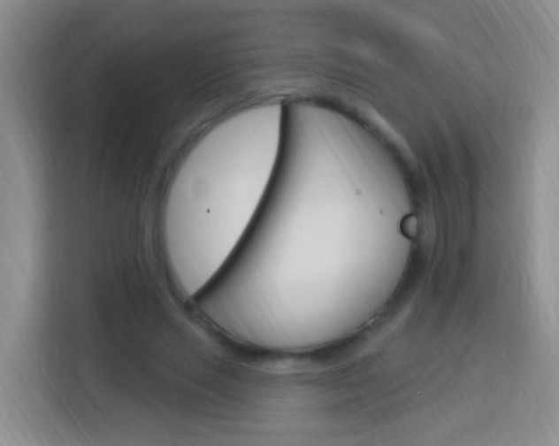 X0000114120637200910051300