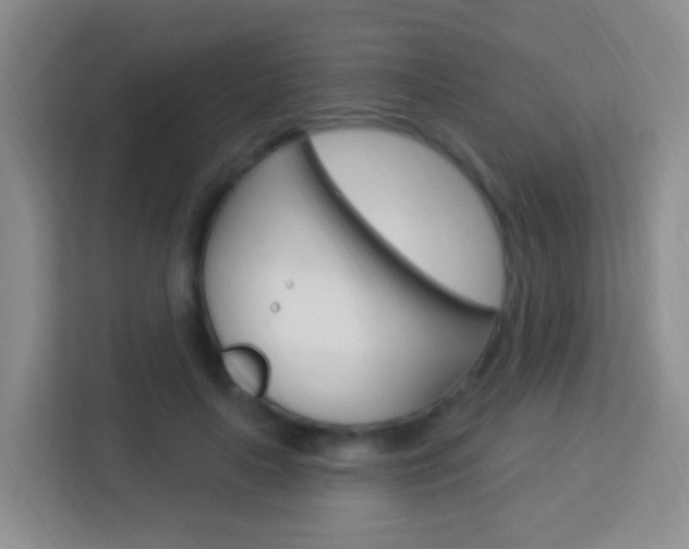 X0000114120643200910051300