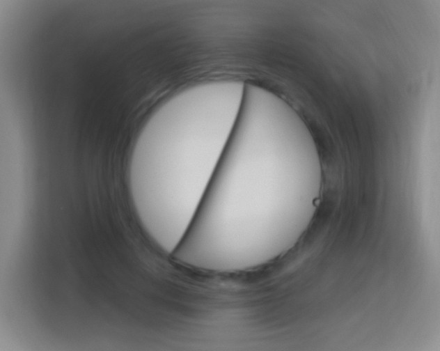 X0000114120648200910051300