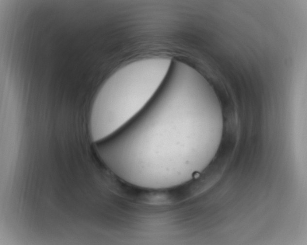 X0000114120651200910051300