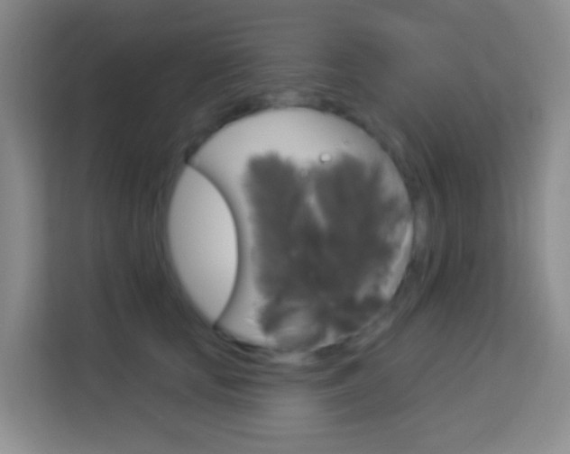 X0000114120659200910051300