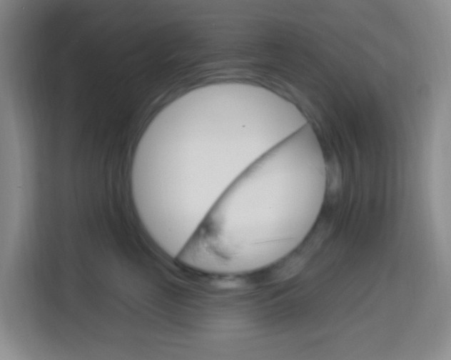 X0000114120669200910051300