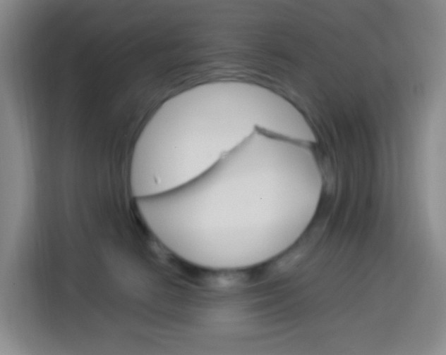 X0000114120670200910051300