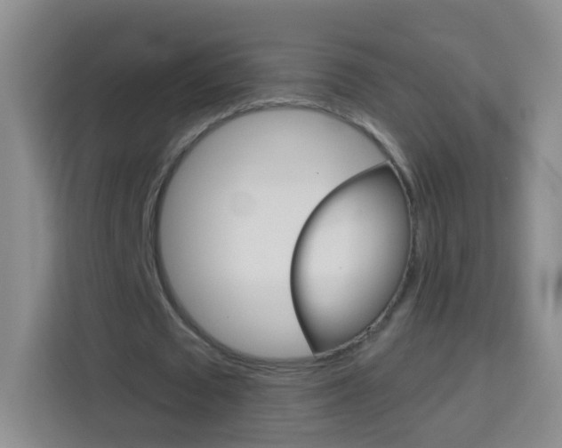 X0000114120673200910051300
