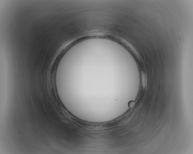 X0000114120675200910051300