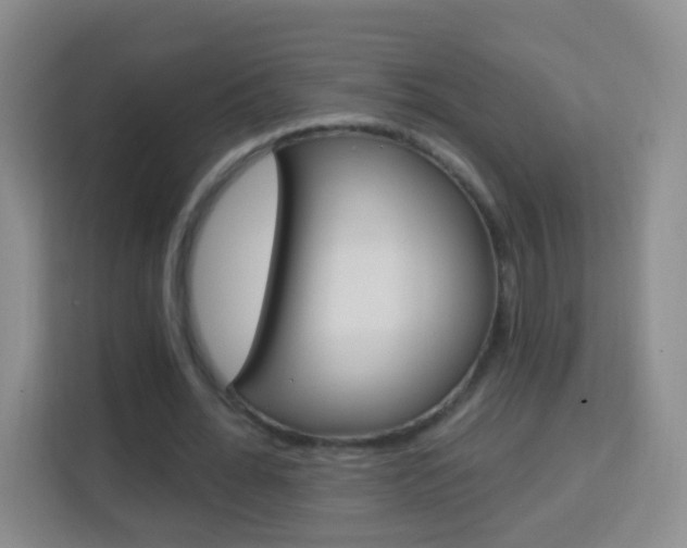X0000114120676200910051300