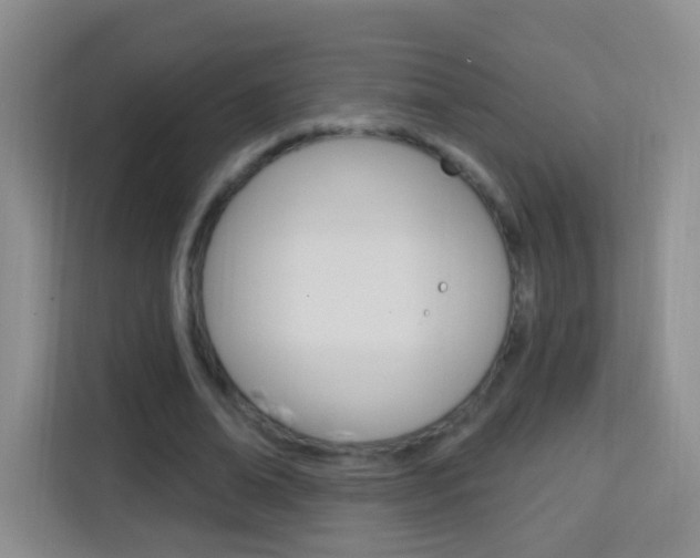 X0000114120678200910051300