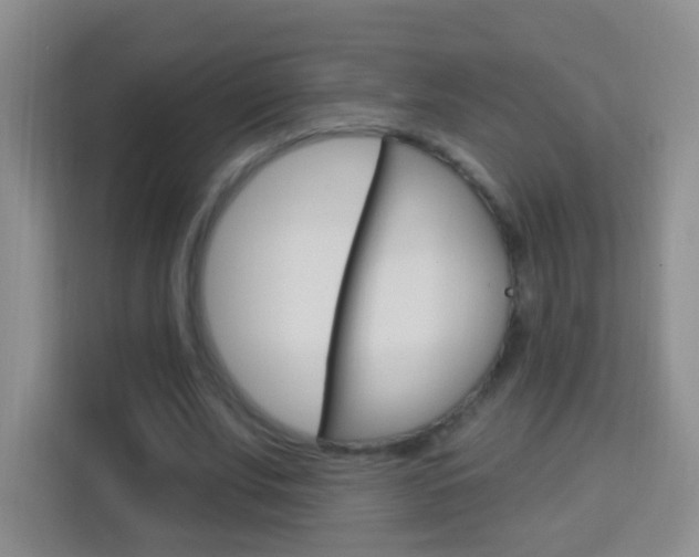 X0000114120679200910051259