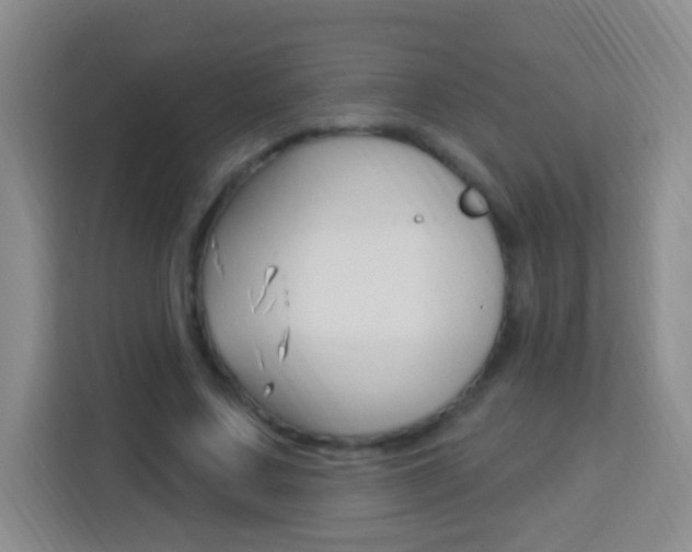 X0000114120683200910051259