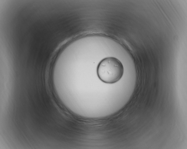 X0000114120684200910051259