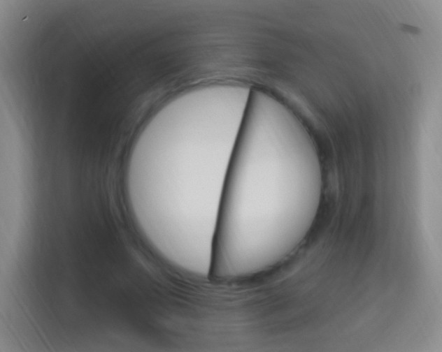 X0000114120687200910051259