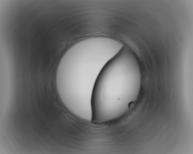 X0000114120689200910051259
