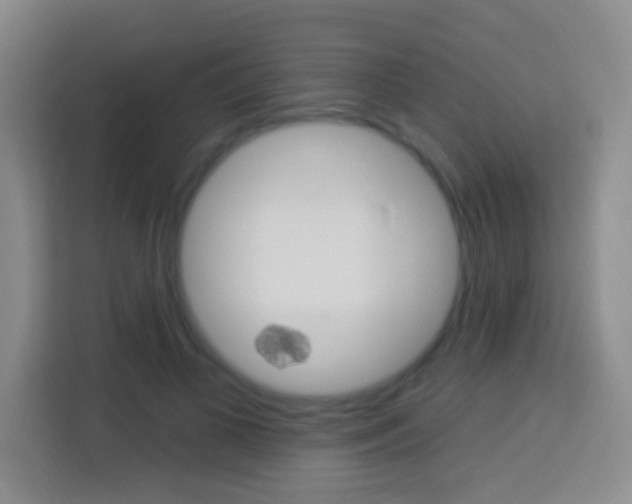 X0000114120693200910051259