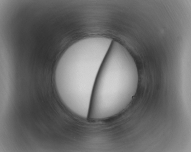 X0000114120695200910051259