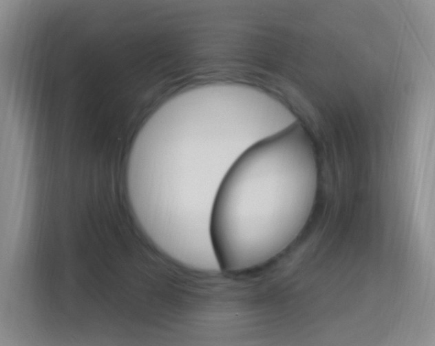 X0000114120697200910051259